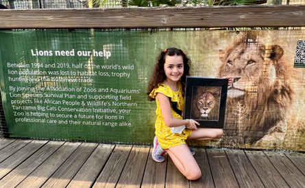 Child artist Ella Grace Helton holds a print of her lion pastel painting at the lion exhibit of Brevard Zoo,